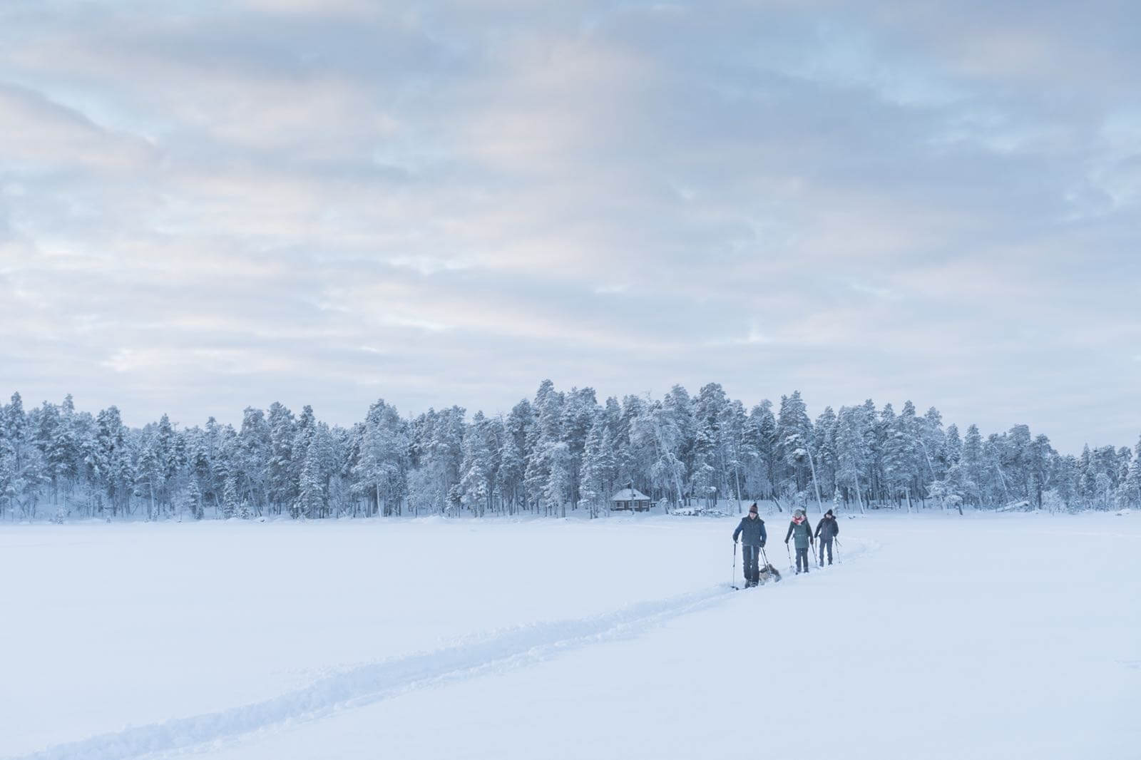 Sweden Lapland pulling a sled
