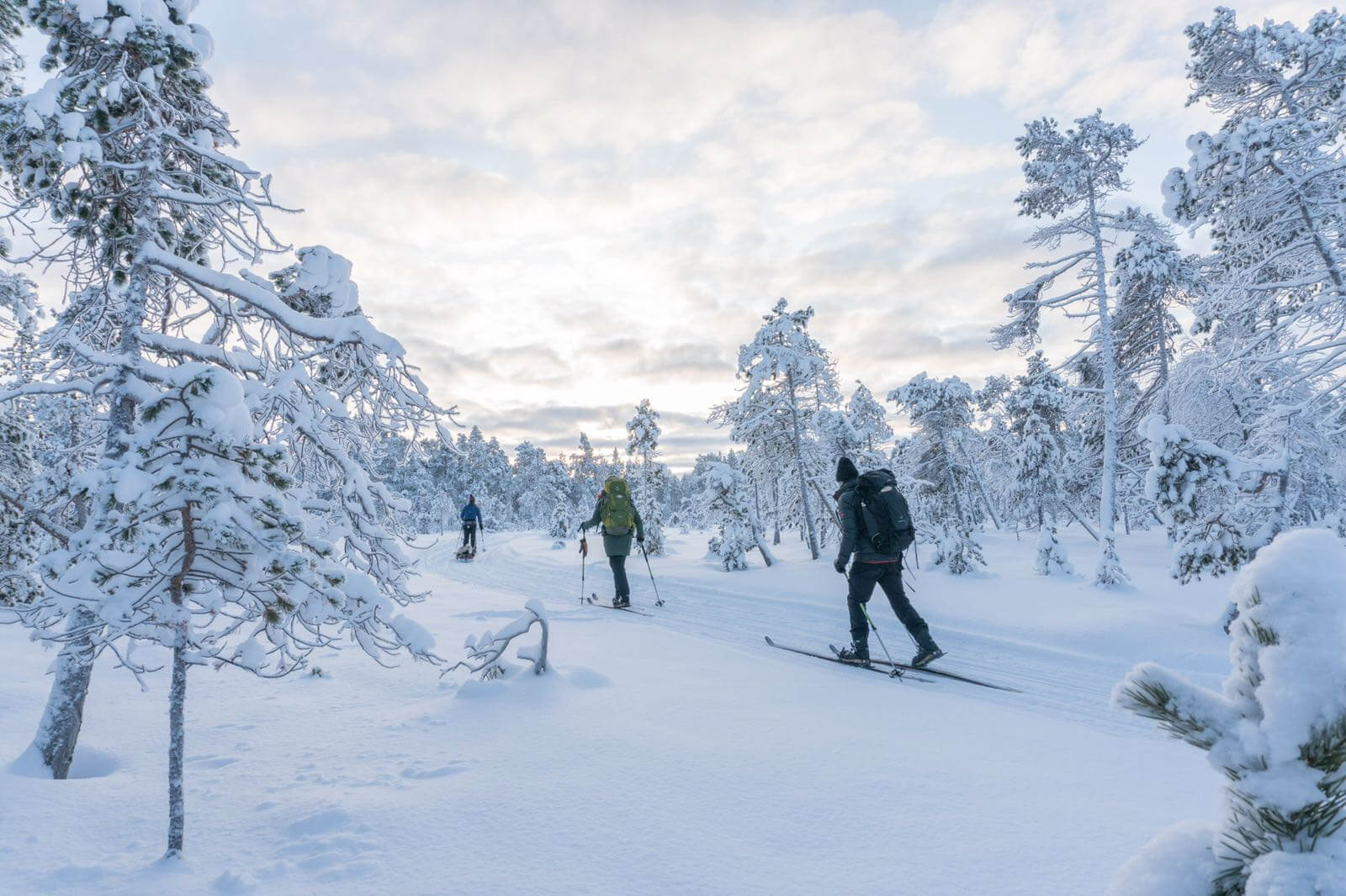 Sweden Lapland cross-country skiing