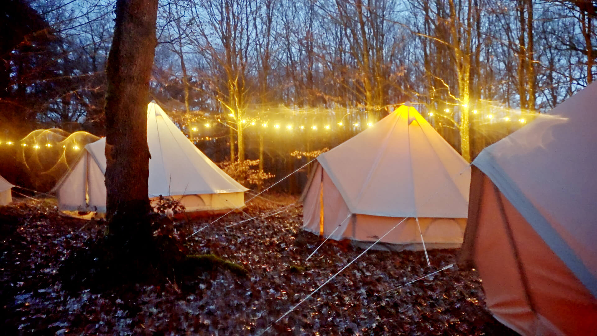 Glamping outside with lights